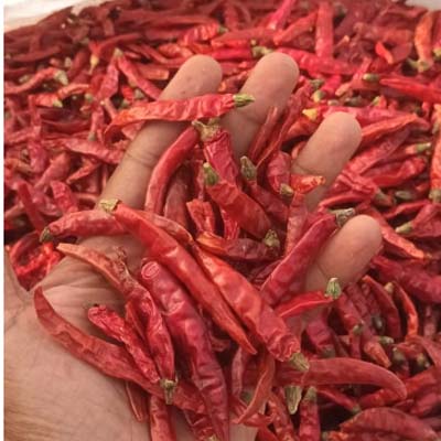 Dry Red Chilli