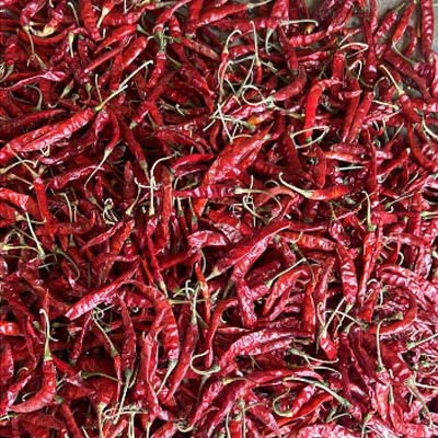 Red Chilli