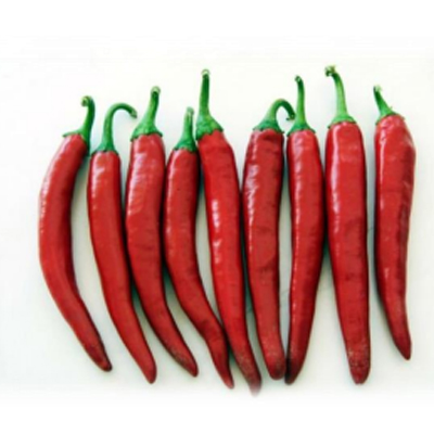 Dry Red Chili